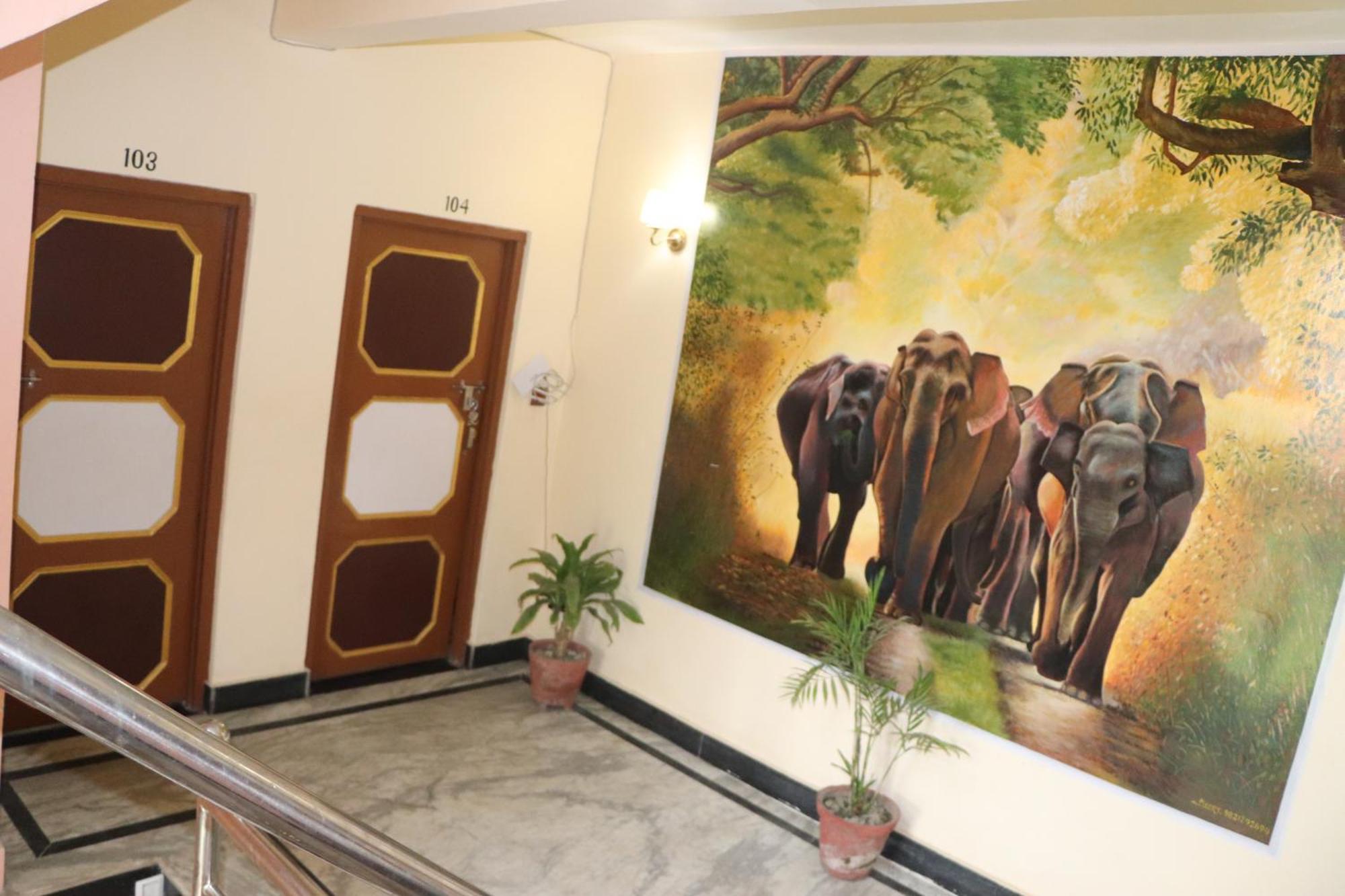 Hotel Flycatcher Chitwan- A Jungle Safari Home 索拉哈 外观 照片