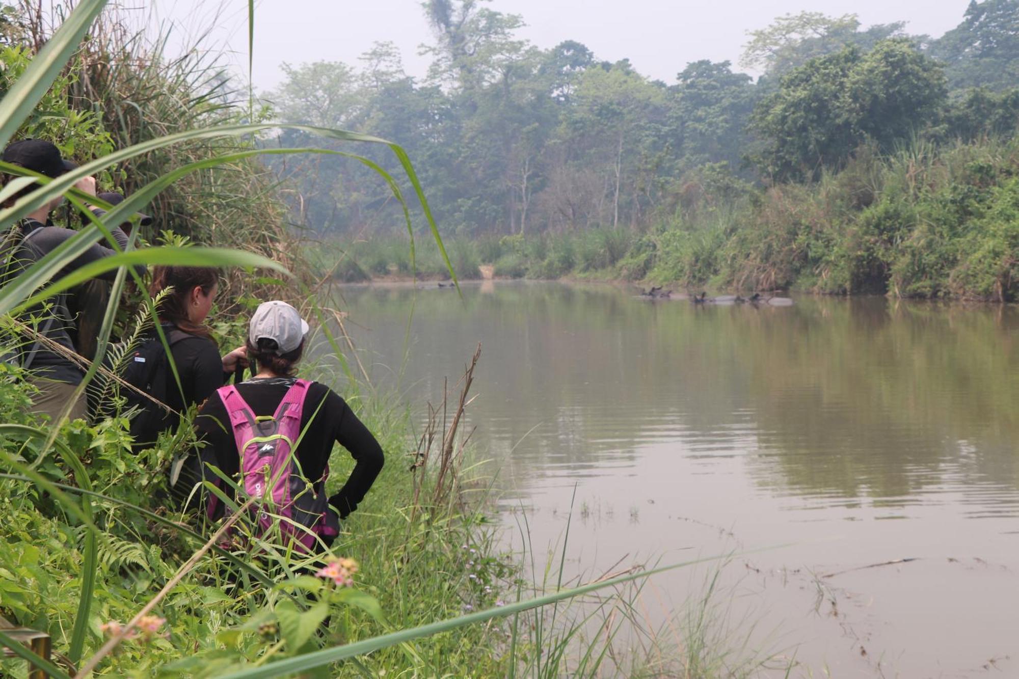 Hotel Flycatcher Chitwan- A Jungle Safari Home 索拉哈 外观 照片