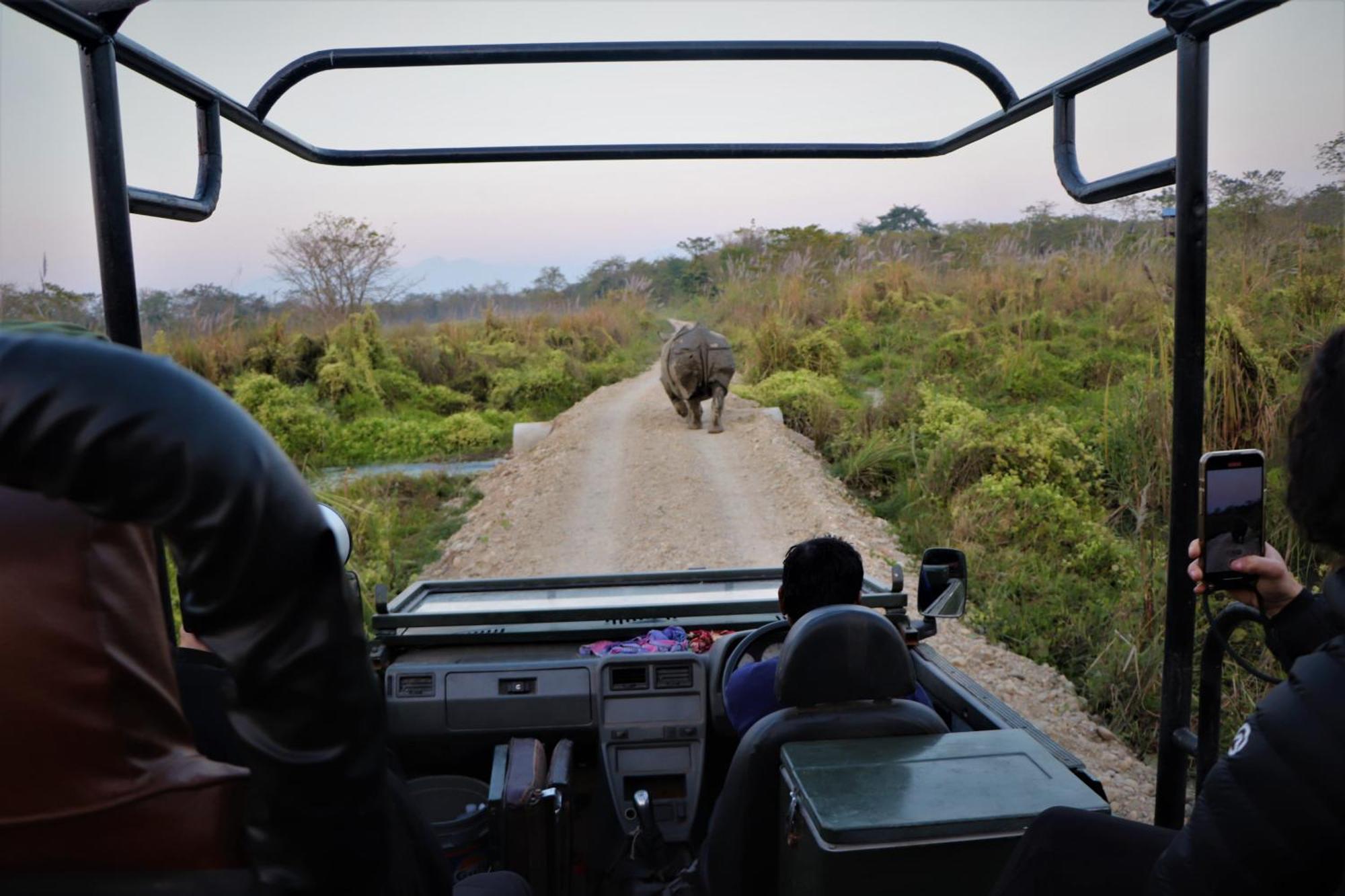 Hotel Flycatcher Chitwan- A Jungle Safari Home 索拉哈 外观 照片