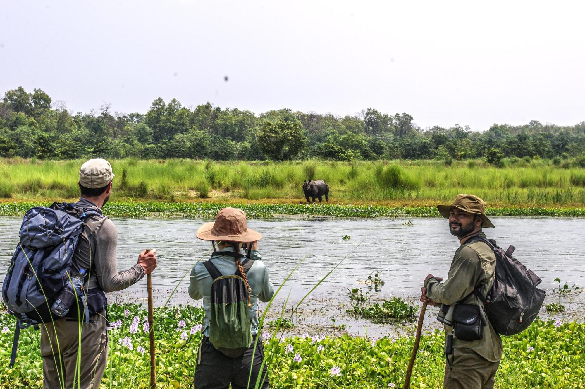 Hotel Flycatcher Chitwan- A Jungle Safari Home 索拉哈 外观 照片
